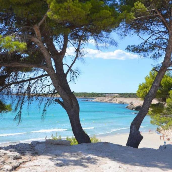 T2 Proche Cote Bleue Marseille Aeroport Gare Tgv Aix Villa Gignac-la-Nerthe Eksteriør bilde